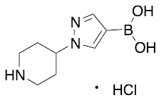 B-[1-(4-Piperidinyl)-1H-pyrazol-4-yl]boronic Acid Hydrochloride