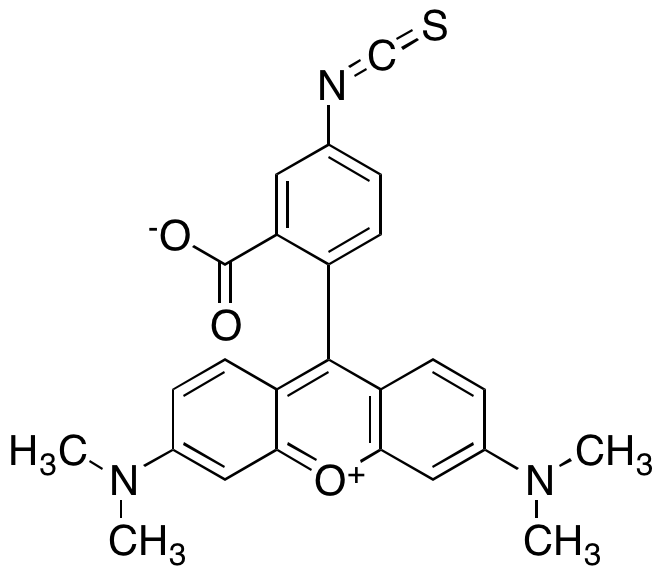 Tetramethylrhodamine-5-isothiocyanate