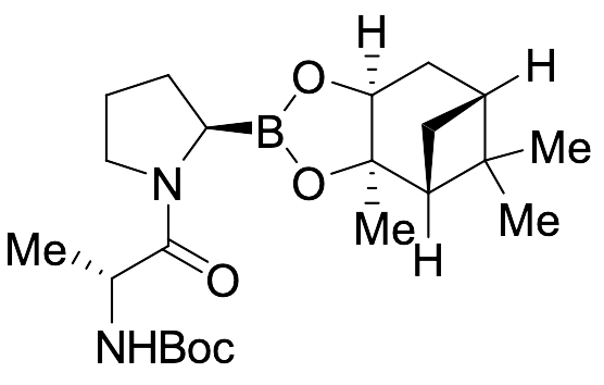(3aR,4R,6R,7aS)-Pinanediol Pyrrolidinecarbamate Boronate tert-Butyl Ester