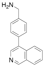 4-Isoquinolin-4-yl-benzylamine