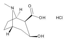 Ecgonine.HCl