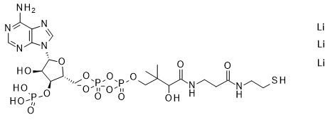 Coenzyme A Trilithium