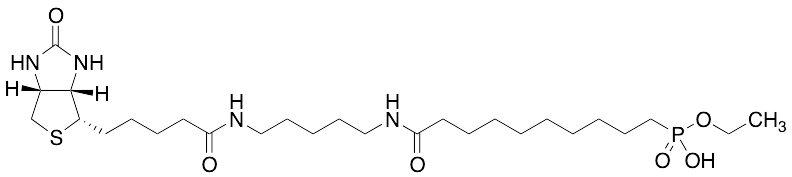 10-Ethoxyphosphinyl-N-biotinamidopentyldecanamide