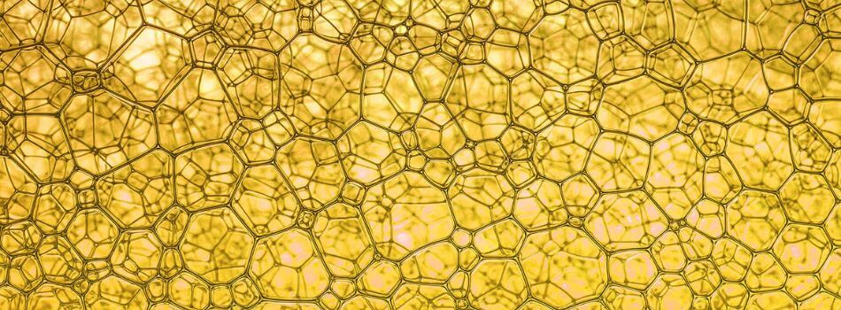 PT-Food-Cereulide-Testing-950 x 355px.jpg