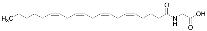 Arachidonyl Glycine