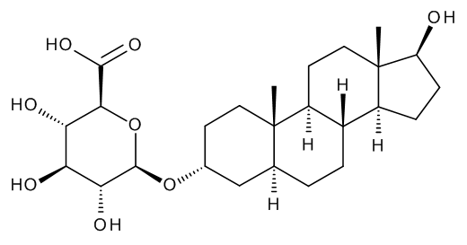 Androstane-3alpha,17beta-diol 3-Glucuronide