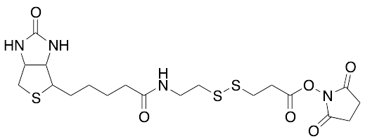 NHS SS Biotin