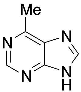 6-Methylpurine