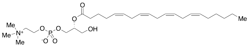 2-Arachidonoyl-sn-glycero-3-phosphocholine (>90%)