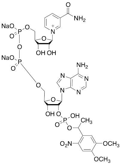 beta-NADPH Disodium Salt Derivative