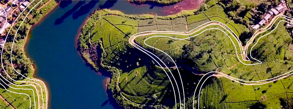 DRE bannerfield-min.png