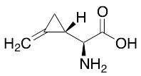 (2S,3S)-(Methylenecyclopropyl)glycine