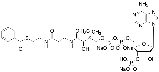 Benzoyl CoA