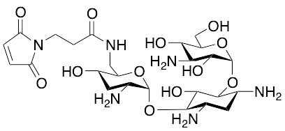 Tobramycin 3-Maleimidopropionate