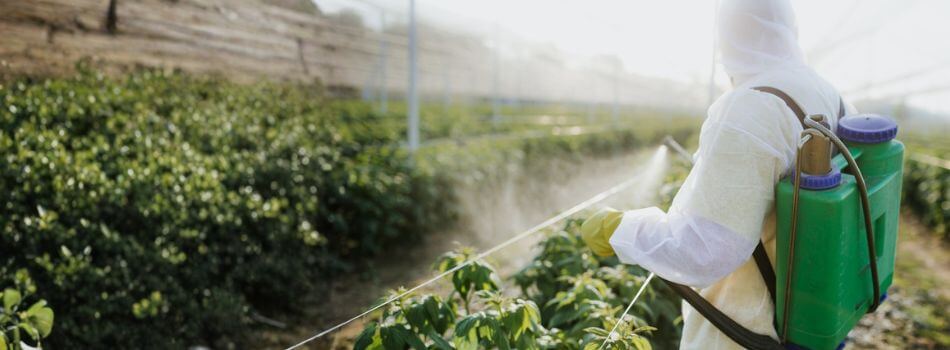 pesticide-residue-hub-banner-img-950 x 350px_v2.jpg