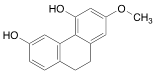 Cannithrene 1