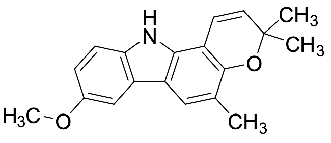 Koenimbine