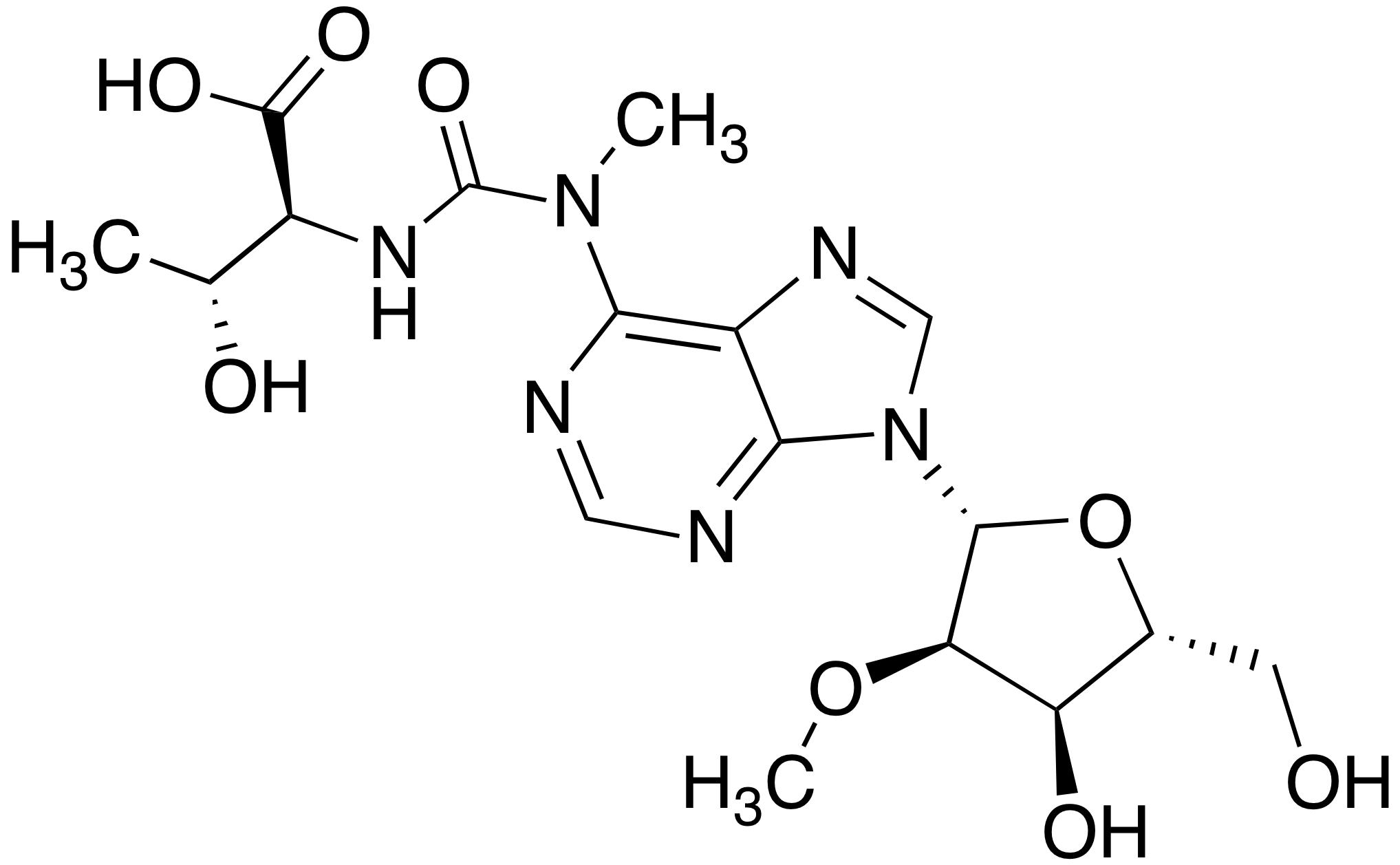 N6-Methyl-N6-threonylcarbamoyladenosine