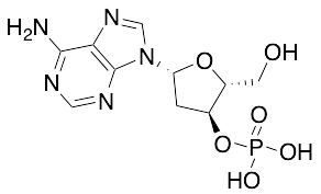 2'-​Deoxy-3'-​adenylic Acid