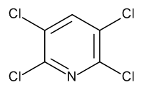 2,3,5,6-Tetrachloropyridine