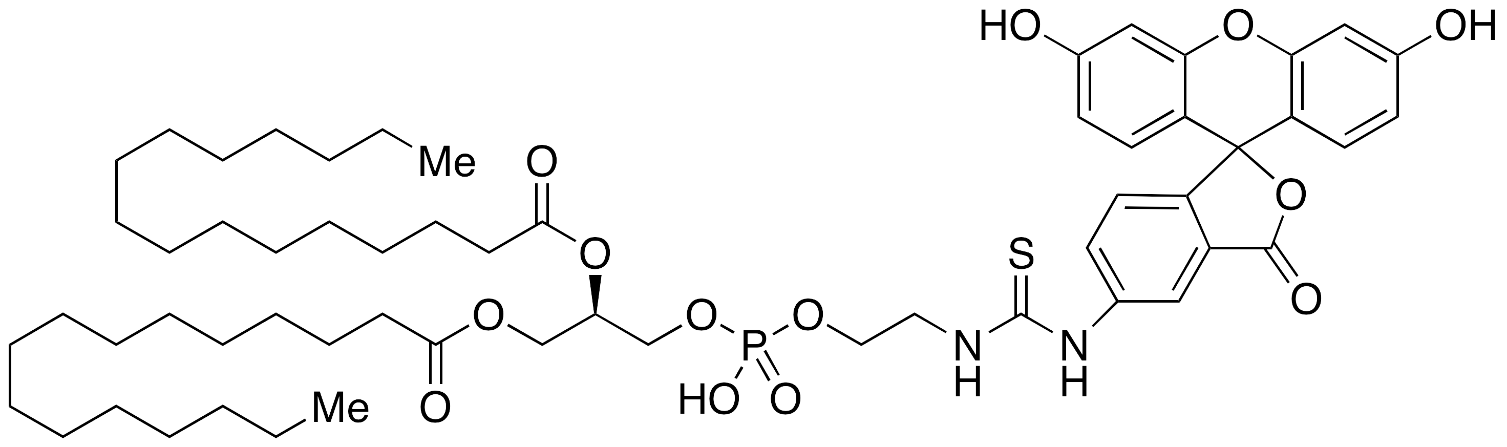 Fluorescein-Dipalmitoylphosphatidylethanolamine