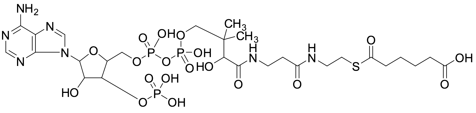 Adipoyl-CoA