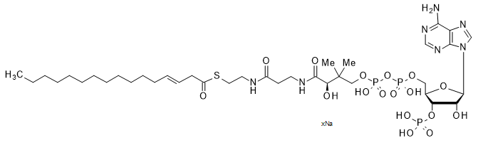 (3E)-Hexadecenoyl Coenzyme A Sodium