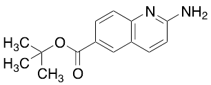 2-Aminoquinoline-6-carboxylic Acid tert-Butyl ester