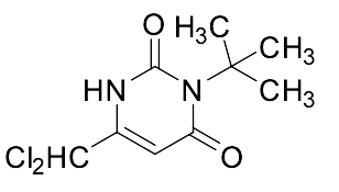3-(tert-Butyl)-6-(dichloromethyl)pyrimidine-2,4(1H,3H)-dione