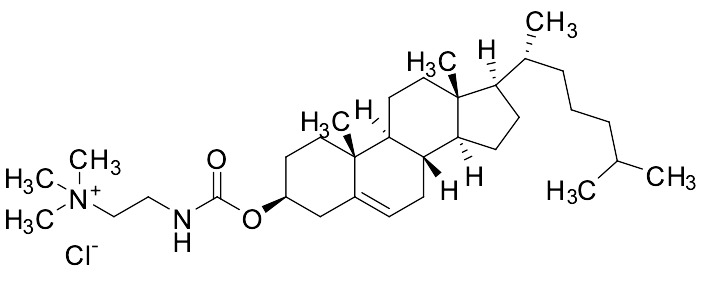 Cholesteryl N-(trimethylammonioethyl)carbamate chloride
