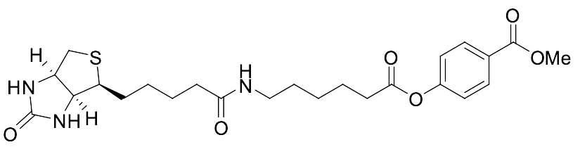 N-Biotinylcaproic Methyl 4-Hydroxybenzoate