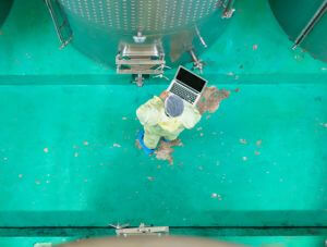 food-processing-contaminants-300 x 227px.jpg