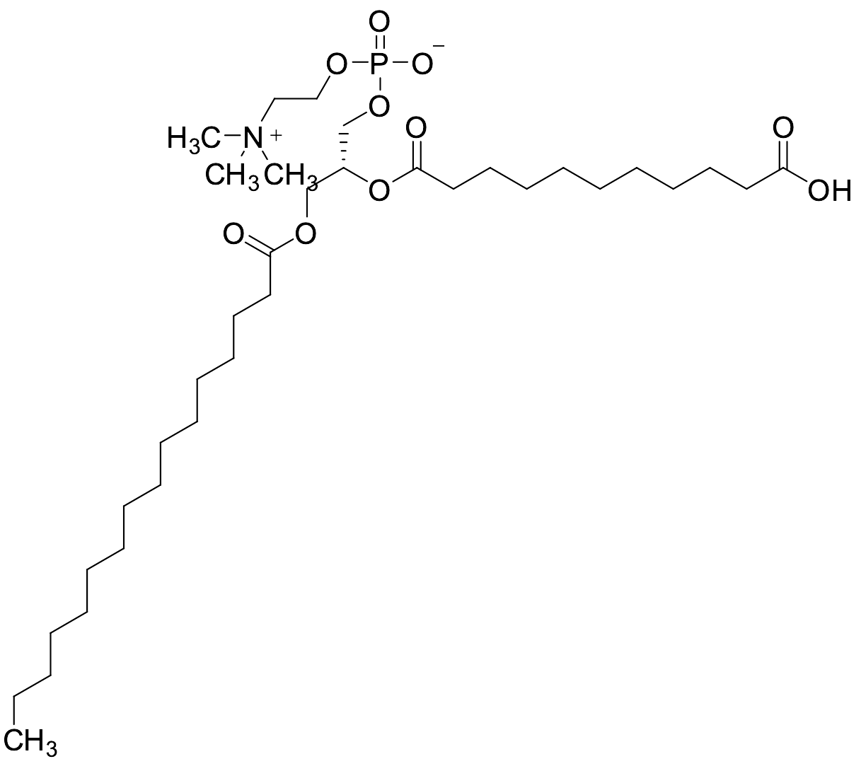 PAPC-1