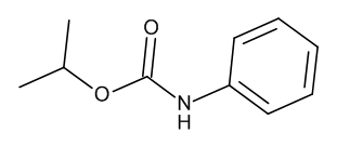 Propham 100 µg/mL in Toluene - CAS No. 122-42-9 Propham 100 µg/mL in Toluene