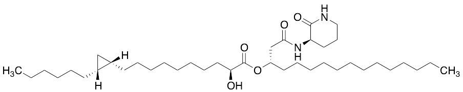 Cepaciamide A