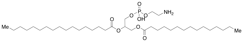 1,2-Dipalmitoyl-rac-glycero-3-phosphoethanolamine
