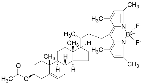 TopFluor 3-O-Acetyl Cholesterol