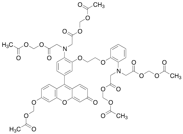 FLUO-8 (AM)