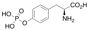 O-Phospho-L-tyrosine