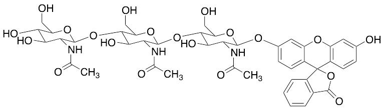 Fluorescein-beta-D-N,N',N''-Triacetylchitotrioside