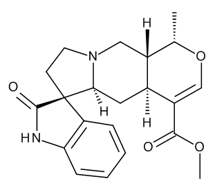 Mitraphylline(P)