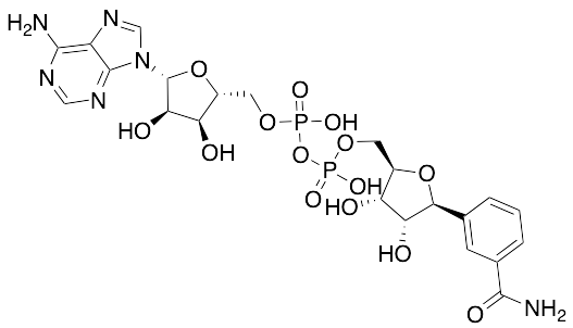 Benzamide Adenine Dinucleotide
