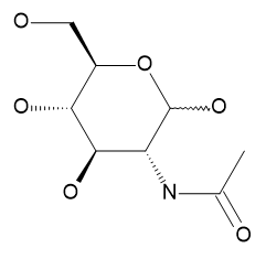 N-Acetyl-D-glucosamine