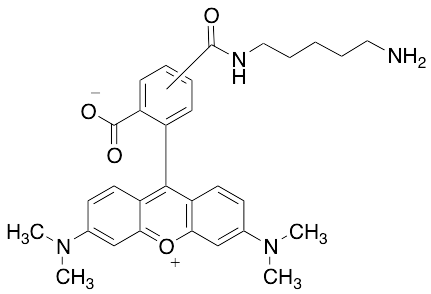 Tetramethylrhodamine Cadaverine