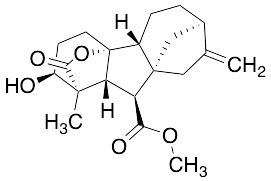 Gibberellin A4 Methyl Ester