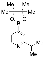 2-Isopropylpyridin-4-yl-boronic Acid Pinacol Ester