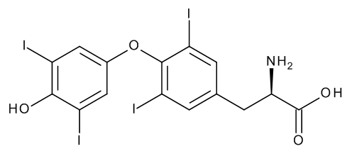 Dextrothyroxine - CAS No. 51-49-0 Dextrothyroxine