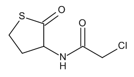 N-Chloroacetyl DL-Homocysteine Thiolactone