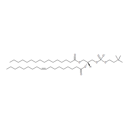 1-Palmitoyl-2-oleoyl-sn-glycerol-3-phosphocholine (TRC-P161000-10MG)