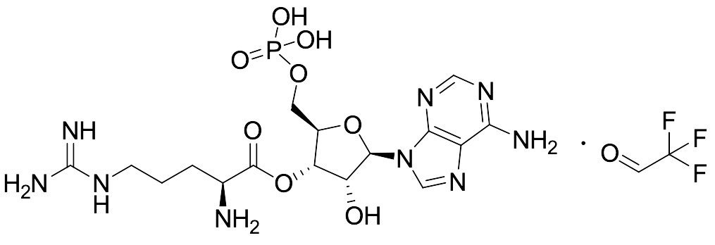 Arginyl-AMP TFA Salt